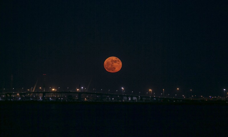 Lua Cheia de Morango 2023: o que é? Descubra este fenómeno celeste único 