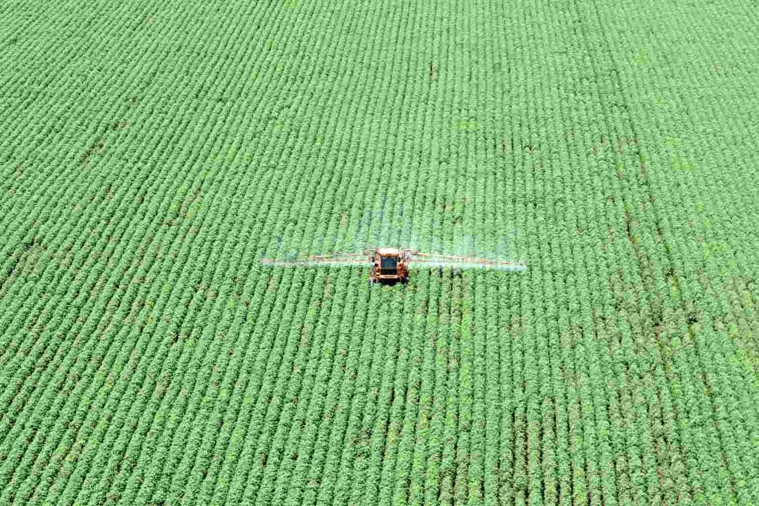 Lista da Forbes com bilionárias do agro Brasil impulsiona