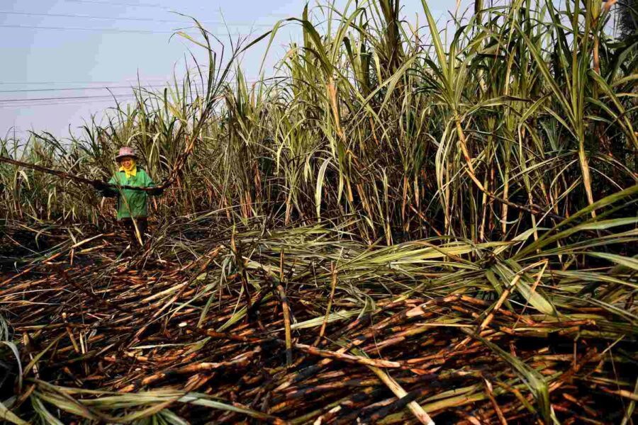 REUTERS/Chalinee Thirasupa