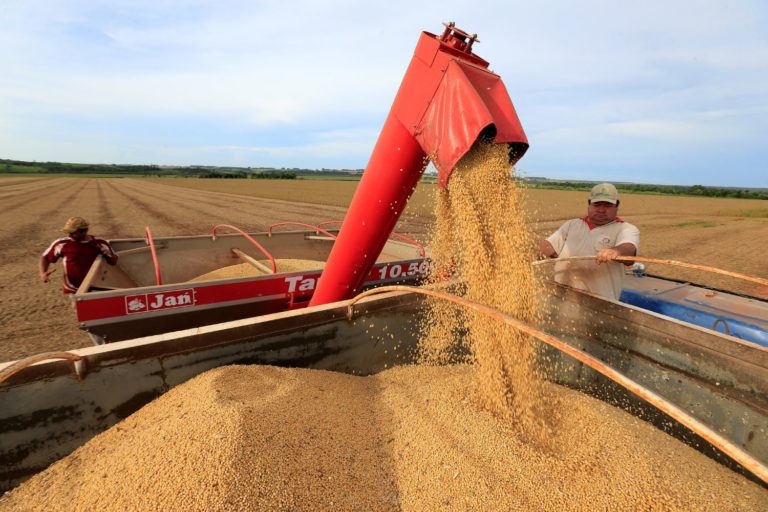 Colheitadeira de soja despejando grãos em um caminhão
