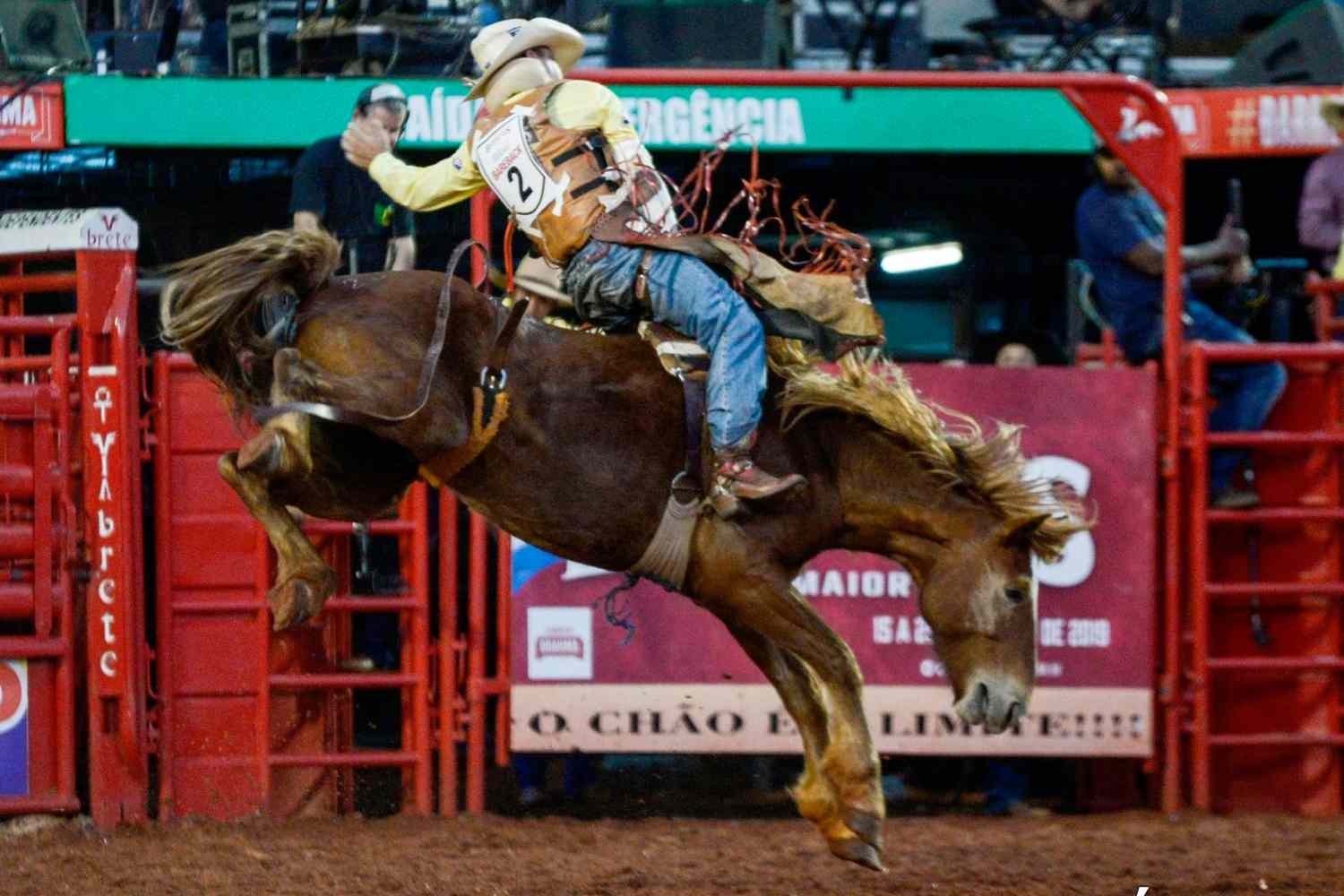 Conheça mais sobre a Festa do Peão de Barretos - Jeito de Cowboy