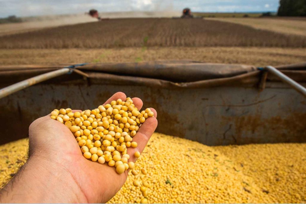 Produção de soja no Brasil em 2022/23 deve ser de 155 milhões de toneladas,  diz consultoria