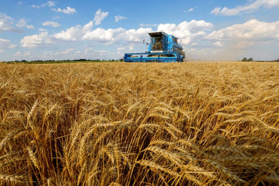 Trator em campo de trigo
