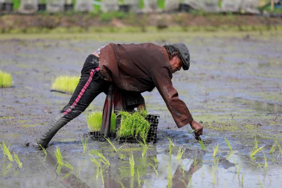 REUTERS/Soe Zeya Tun