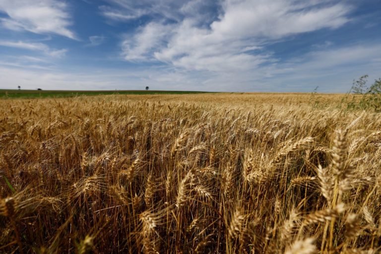 Lista da Forbes com bilionárias do agro Brasil impulsiona