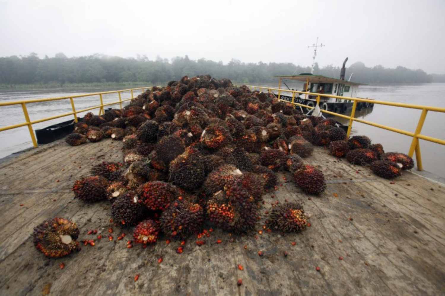 indonésia espera recuperação das exportações de óleo de palma em abril
