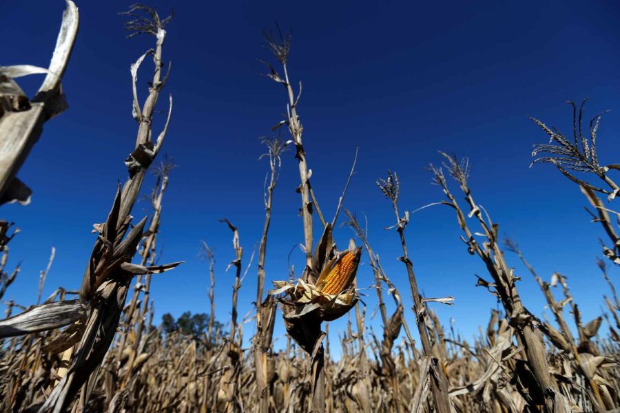 REUTERS/Agustin Marcarian