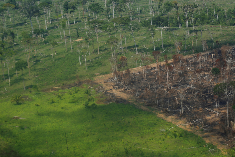 Desmatamento ilegal por queimada em floresta da Amazônia