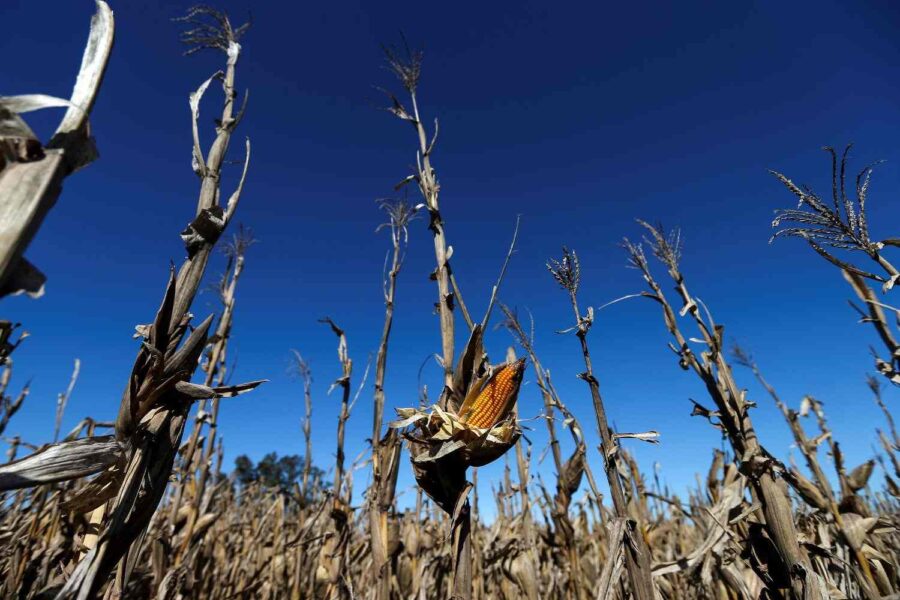Agustin Marcarian/Reuters