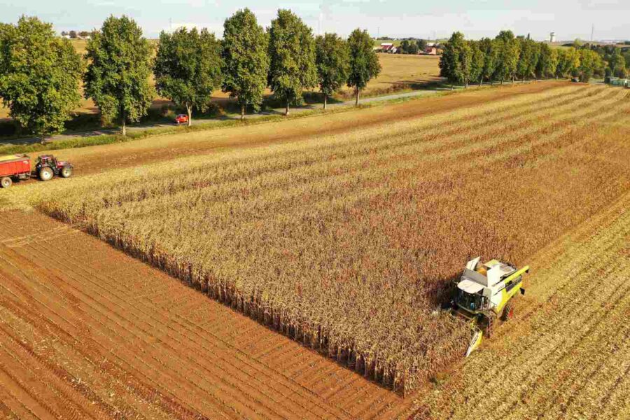 Campo de milho com tratores na França
