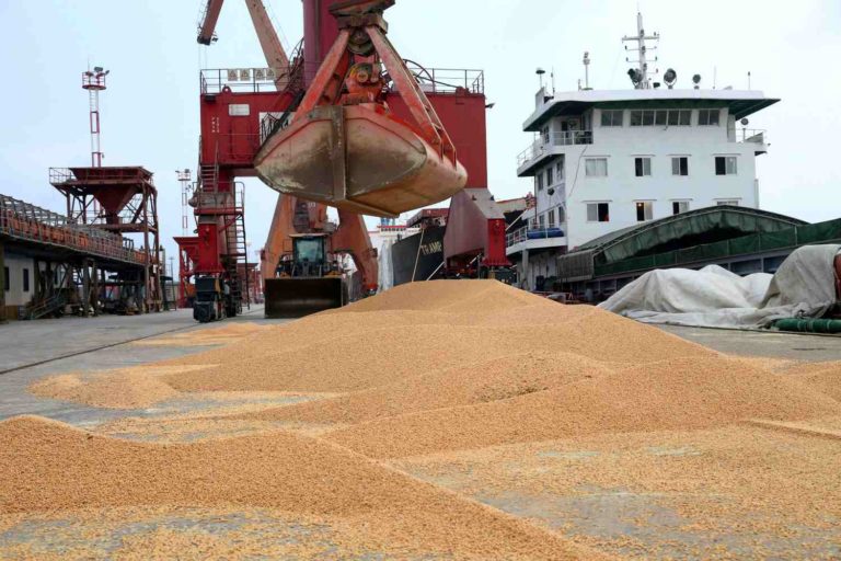 garra de exportação recolhe grãos de soja