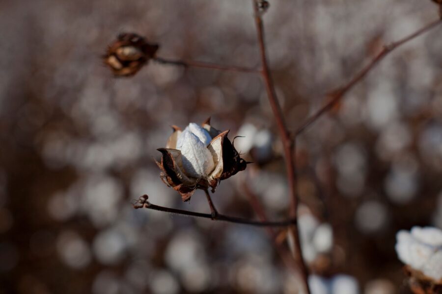 Randall Hill/Reuters