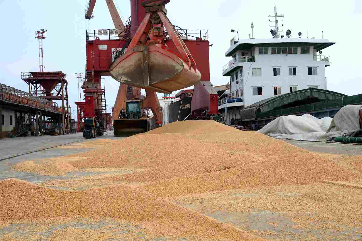 importações de soja pela china crescem 18% em abril e atingem recorde para o mês