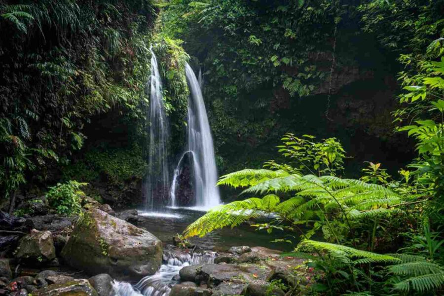 Foto: DISCOVER DOMINICA