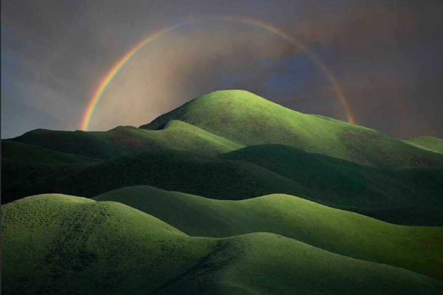 TONY WANG, CHINA