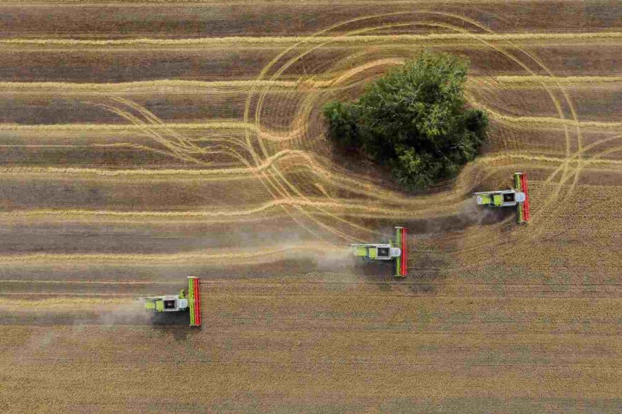 Tratores colhem em campo de trigo em imagem vista de cima