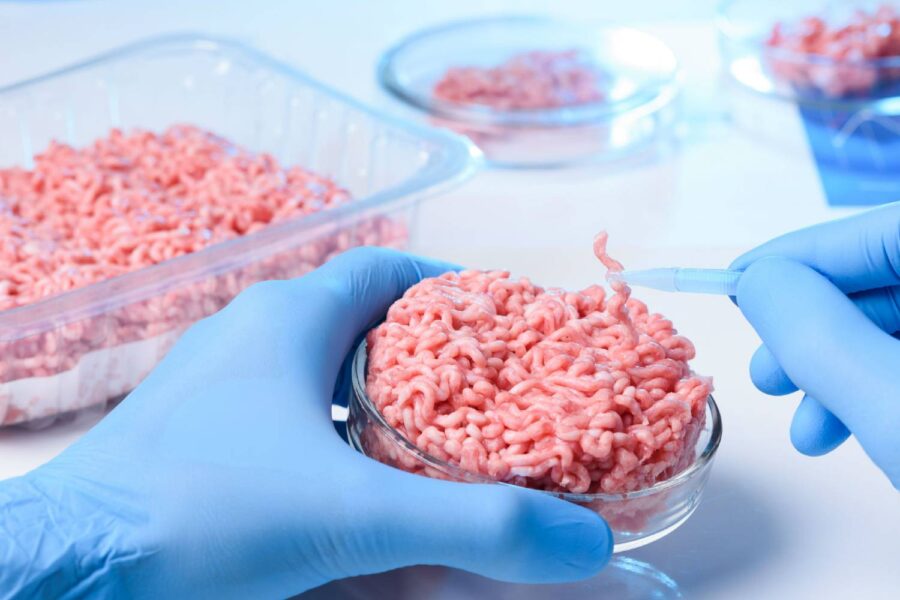 carne de laboratório