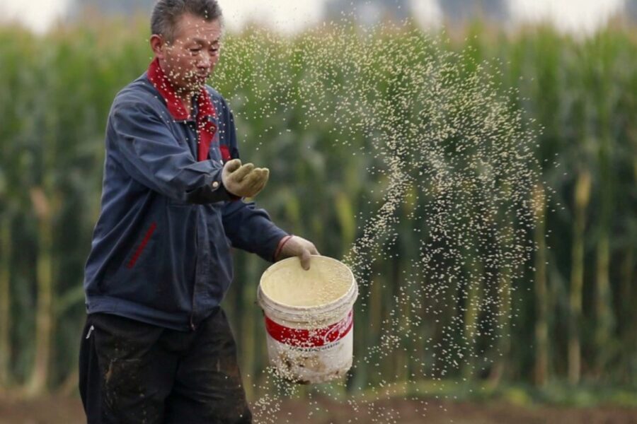 Agricultor na China