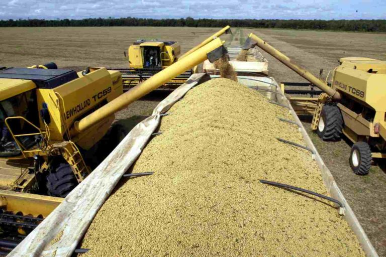 Colheita de soja em Mato Grosso