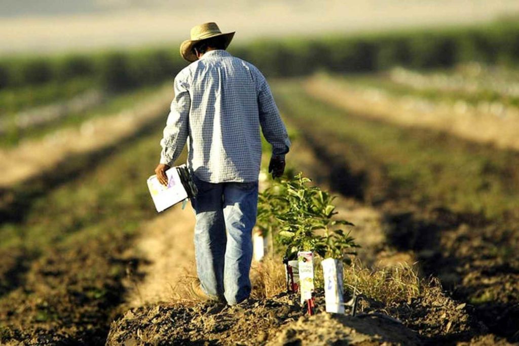 Lista da Forbes com bilionárias do agro Brasil impulsiona