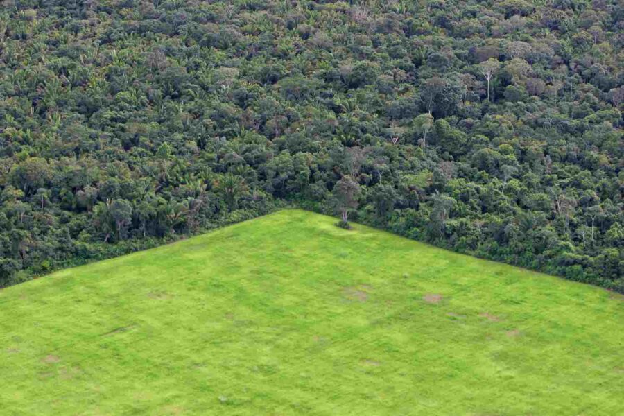 agro_soja_floresta_bioma_amazonia_27janRicardo Belie_Guettyimages