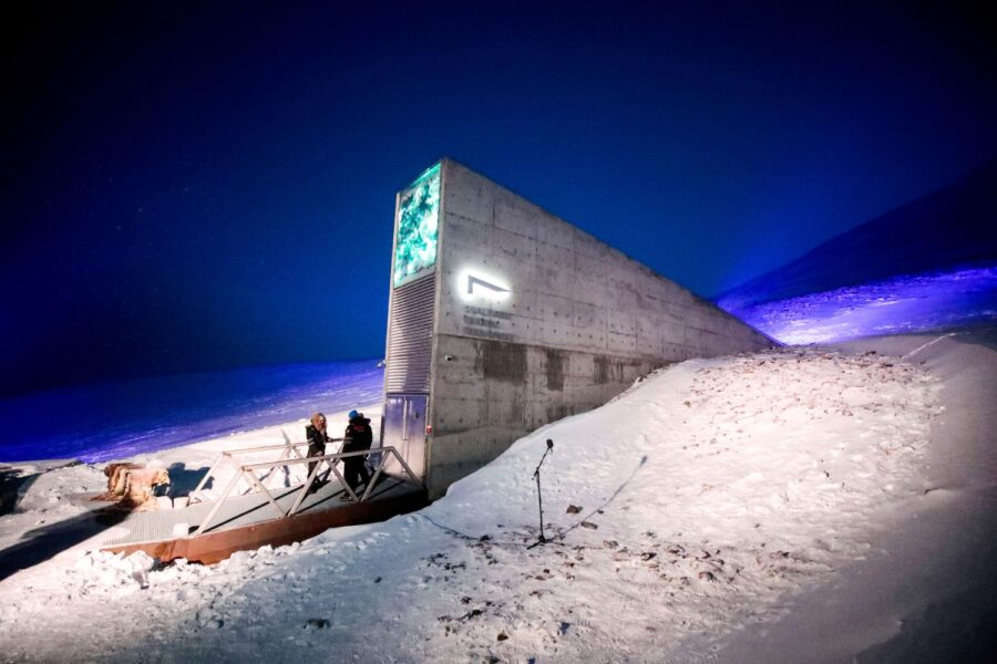 cofre de sementes de Svalbard, no Ártico norueguês