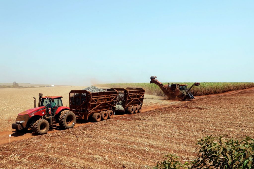 São Martinho avalia que clima afeta próxima safra de cana do