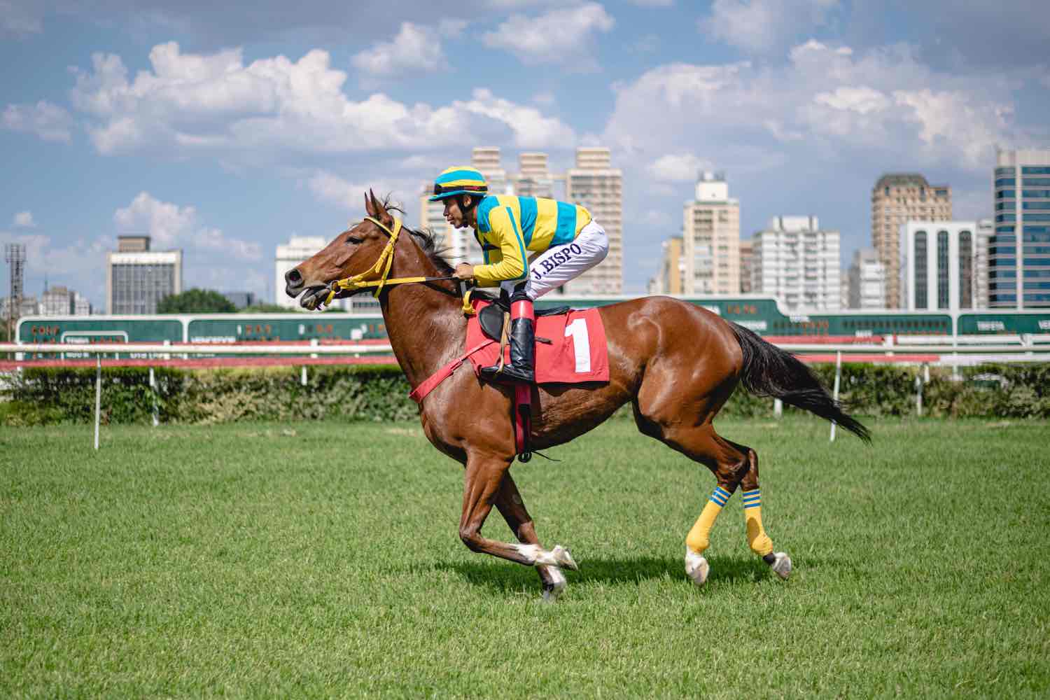 Jockey Club recebe prova de turfe com entrada gratuita