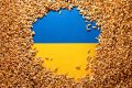 Grãos sobre a bandeira da Ucrânia - Foto: Reuters