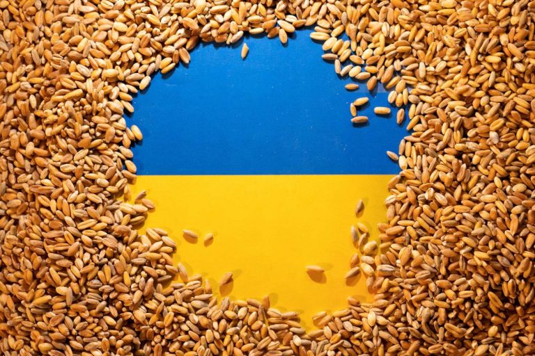 Bandeira da Ucrânia com grãos em cima
