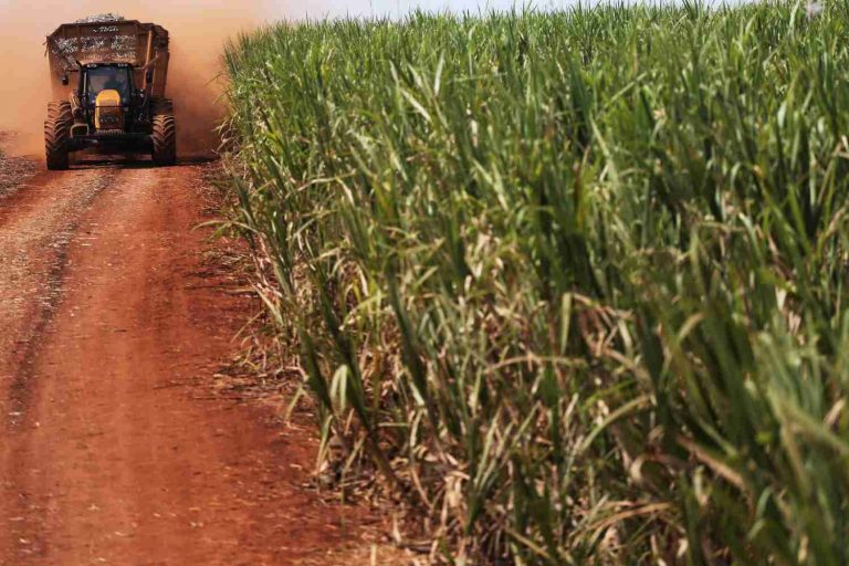 Lista da Forbes com bilionárias do agro Brasil impulsiona