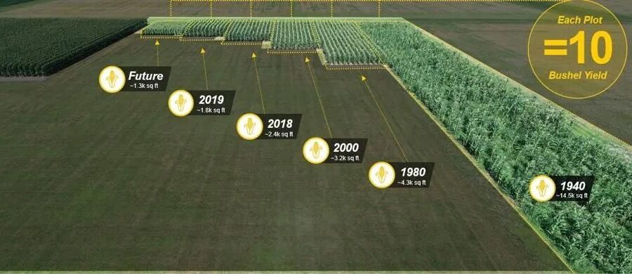 Bayer Crop Science