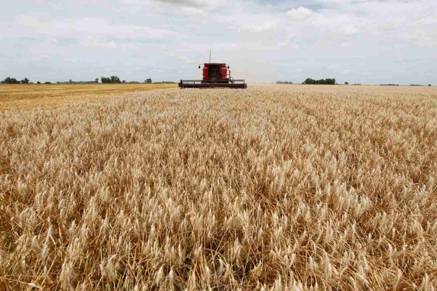 Trator em campo de trigo