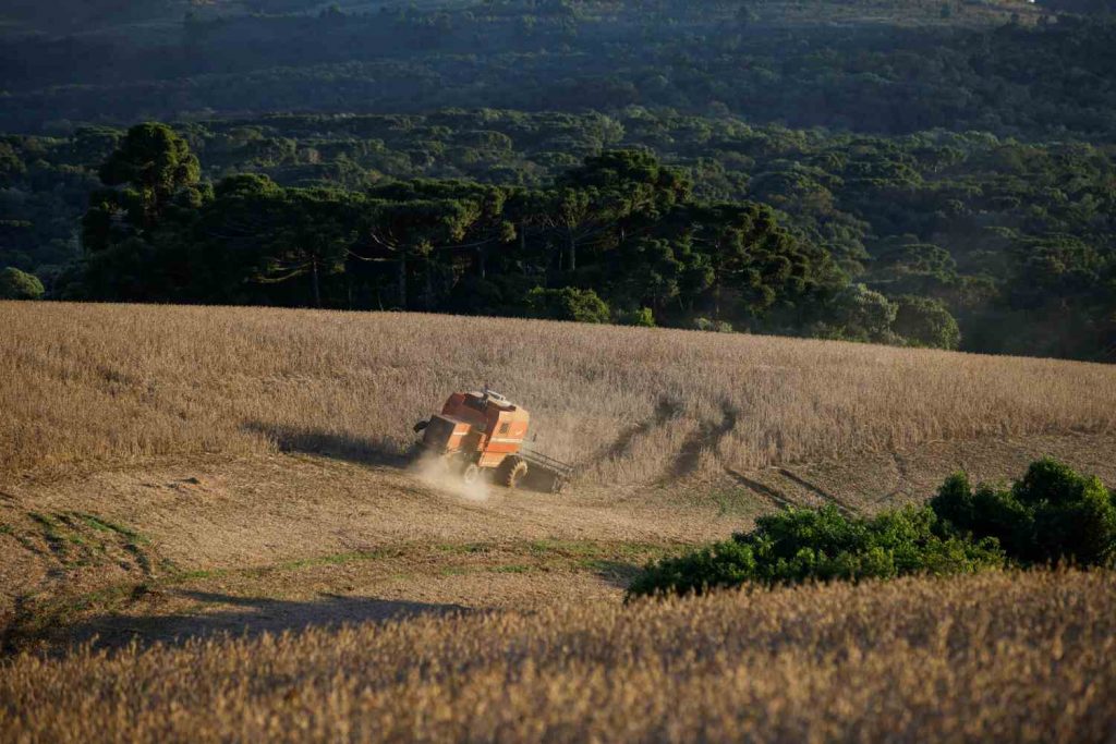 Lista da Forbes com bilionárias do agro Brasil impulsiona