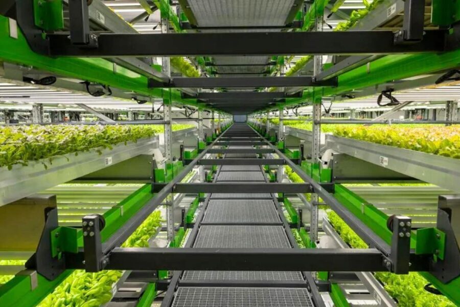 Bowery Farms/Divulgação