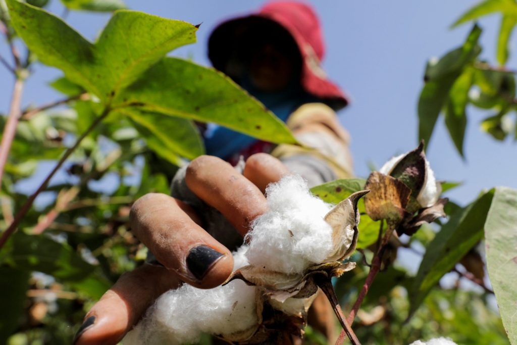 Lista da Forbes com bilionárias do agro Brasil impulsiona