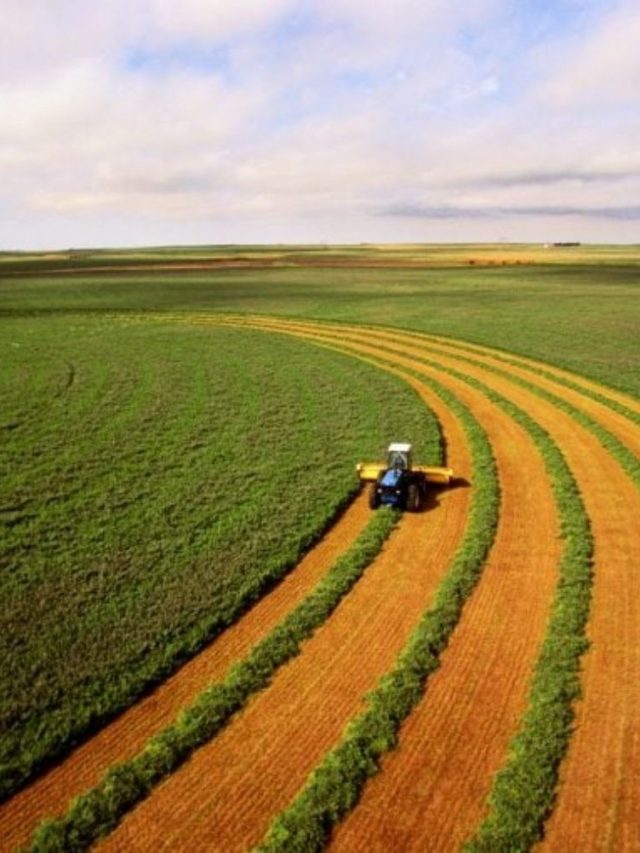 Lista Forbes 2023: Quem são os agro bilionários do Brasil