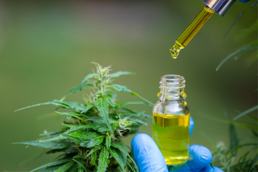 Canva Images/Óleo de cannabis