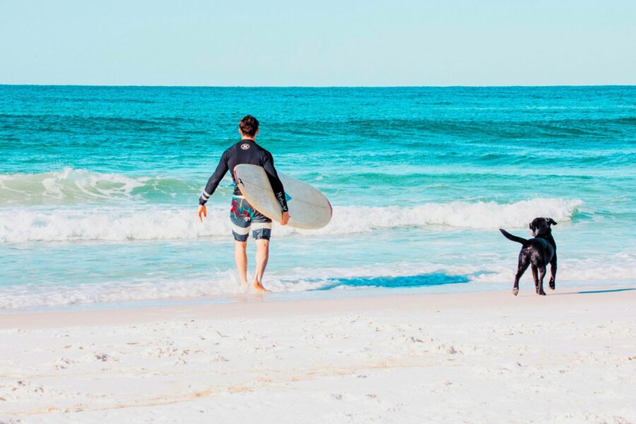 Taylor Deas-Melesh/Unsplash