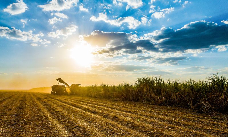 Lista da Forbes com bilionárias do agro Brasil impulsiona