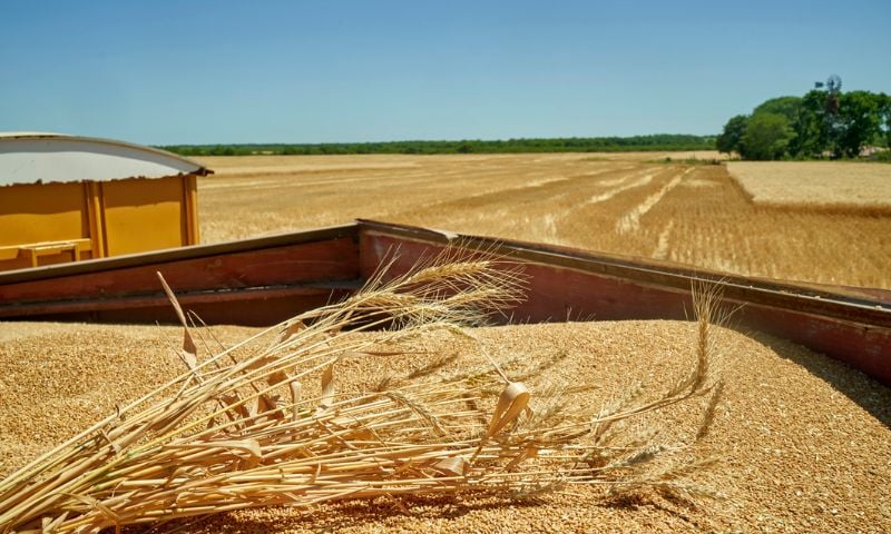 Lista da Forbes com bilionárias do agro Brasil impulsiona