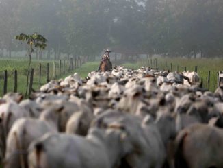 Pilar Olivares/Reuters