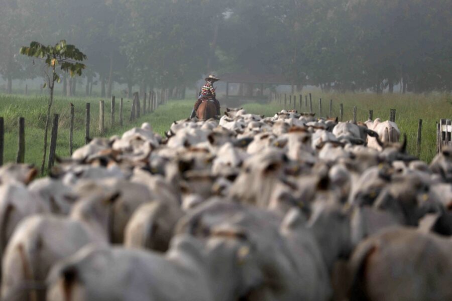 Pilar Olivares/Reuters