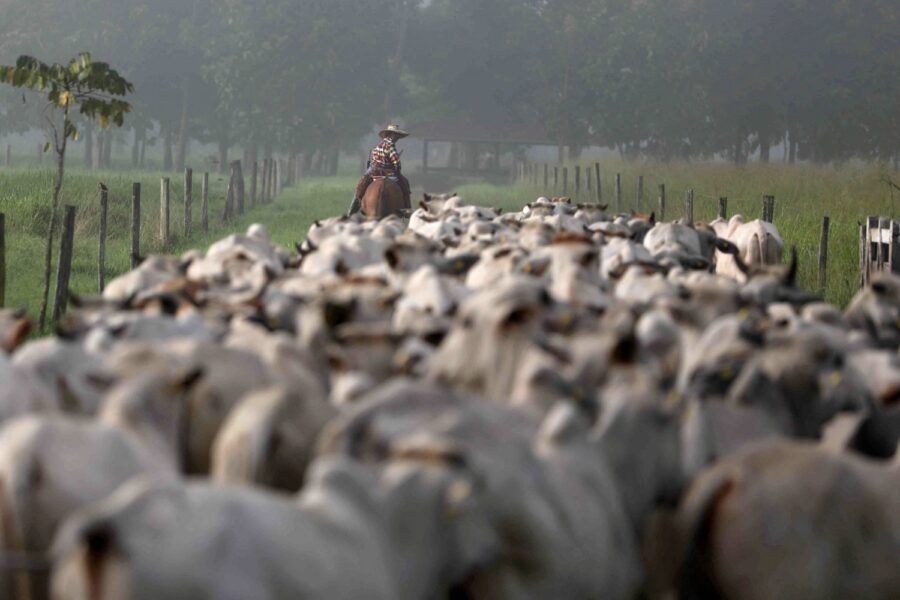 Reuters/Pilar Olivares
