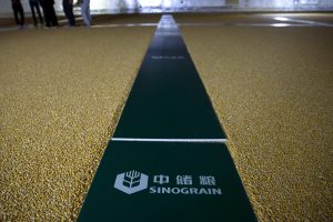 Estoque de milho em armazém da Sinograin em Baoding, Hebei - Foto: Mei Mei Chu/Reuters