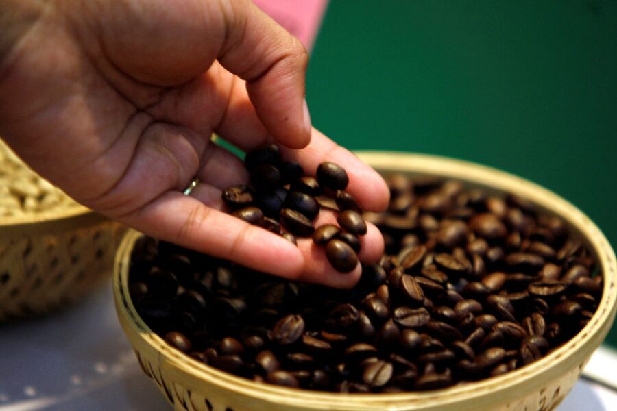 grãos de café