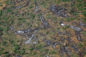 Área desmatada da floresta amazônica - Foto: Adriano Machado - Reuters