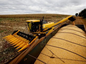 Colheita de Soja em Mato Grosso - Foto: Rodolfo Buhrer - Reuters