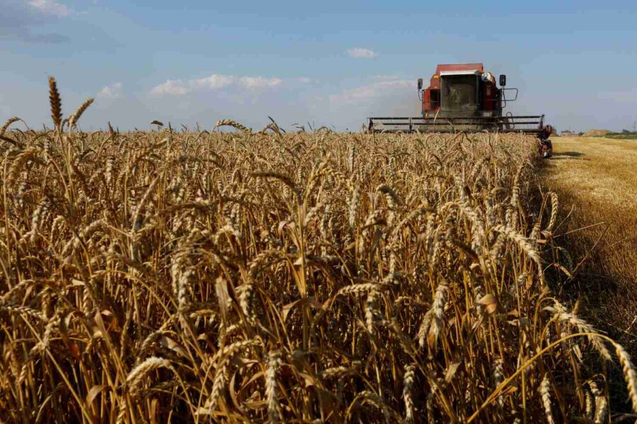 Campo de trigo na região de Zaporizhzhia, Ucrânia - Foto: Reuters