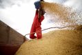 Trabalhador na colheita de soja - Foto: Ueslei Marcelino - Reuters